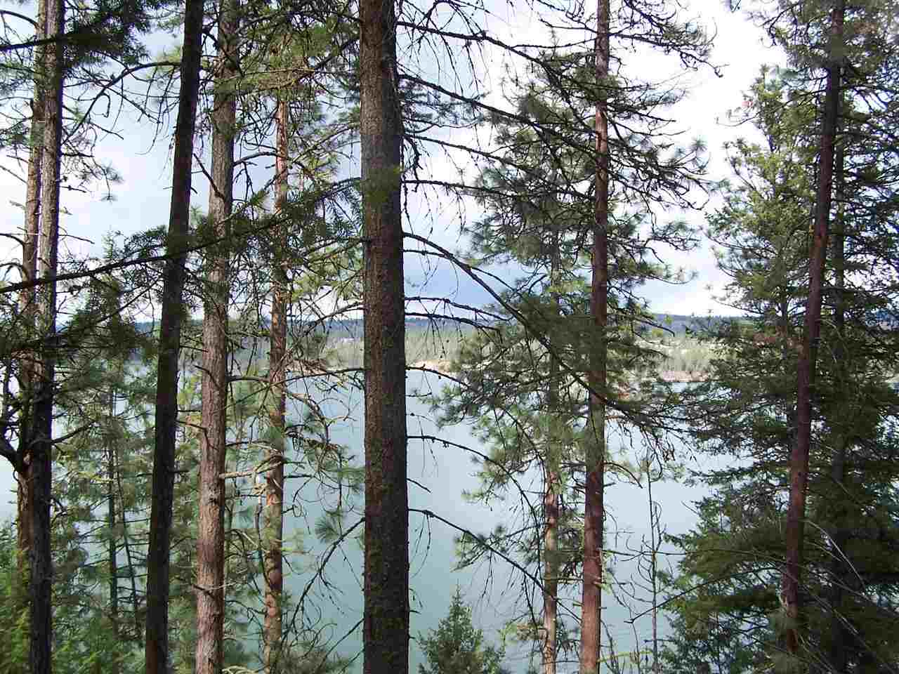 Xxx West Long Lake Road Ford, WA 99013 - Photo 11 of 14 Gallery Image 11