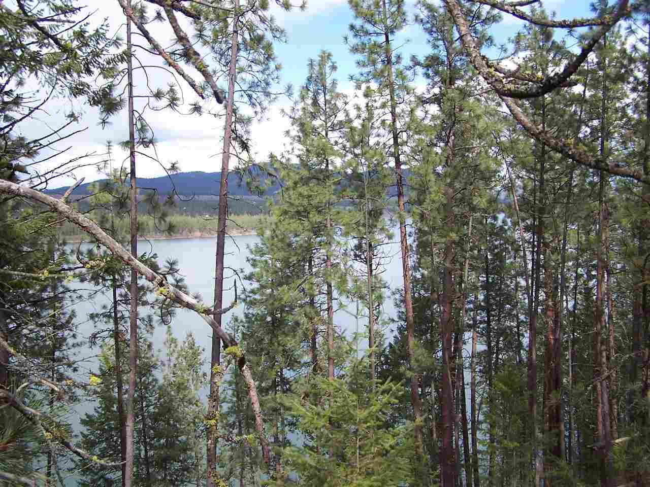 Xxx West Long Lake Road Ford, WA 99013 - Photo 12 of 14 Gallery Image 12