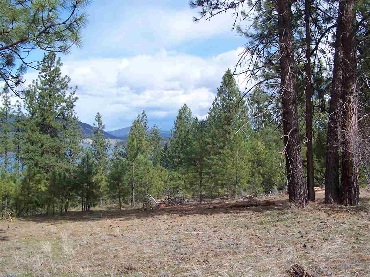 Xxx West Long Lake Road Ford, WA 99013 - Photo 3 of 14 Gallery Image 3