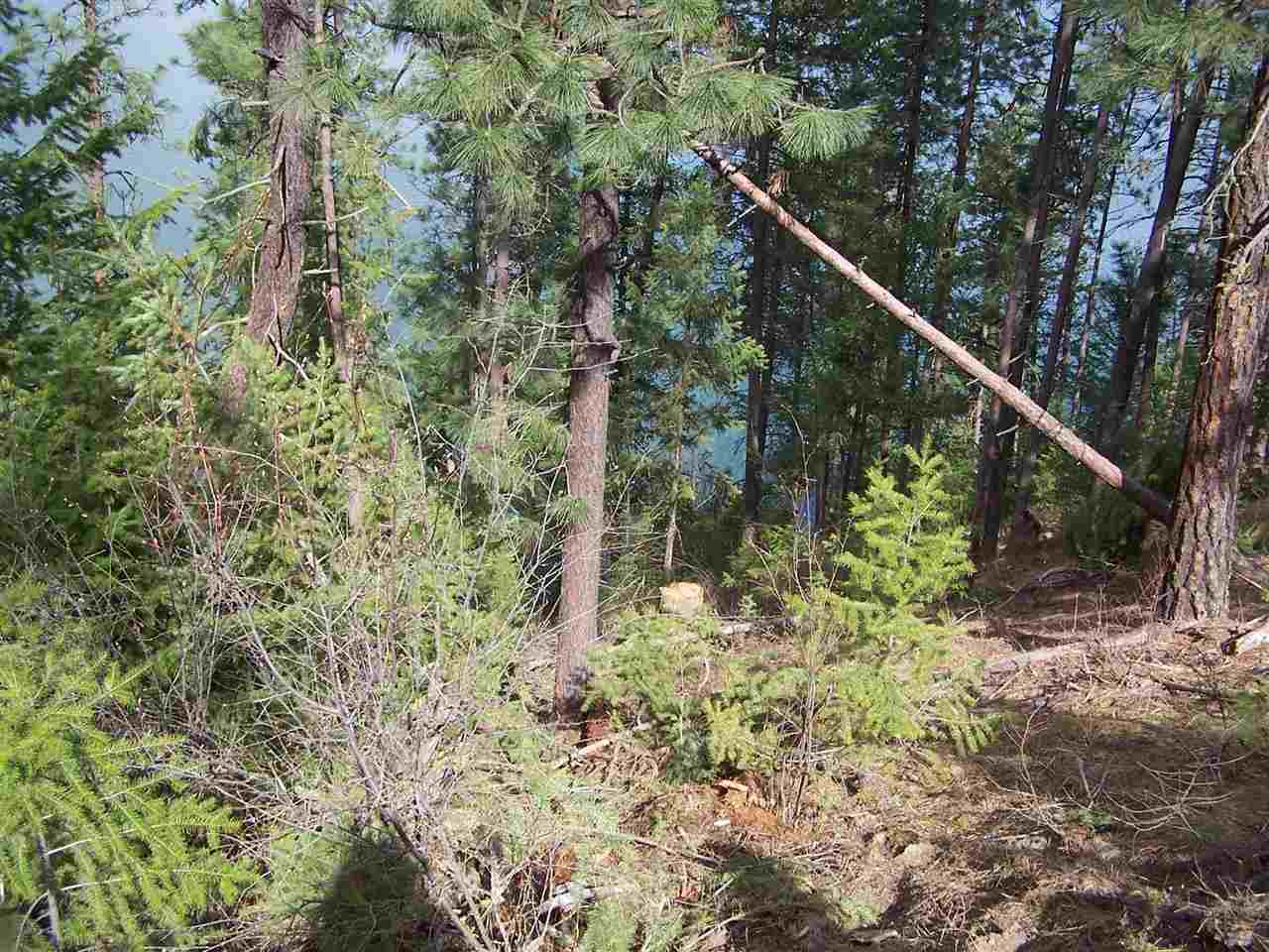 Xxx West Long Lake Road Ford, WA 99013 - Photo 4 of 14 Gallery Image 4