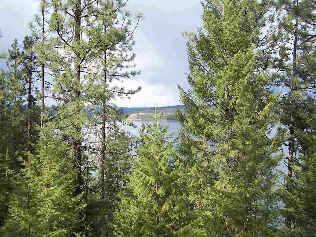 Xxx West Long Lake Road Ford, WA 99013 - Photo 5 of 14 Gallery Image 5