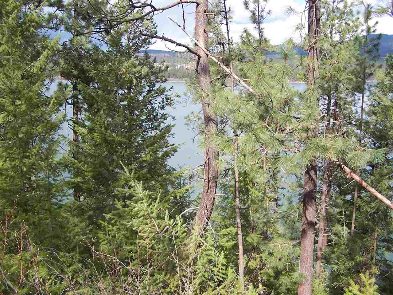 Xxx West Long Lake Road Ford, WA 99013 - Photo 6 of 14 Gallery Image 6