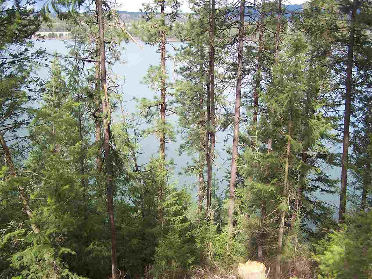 Xxx West Long Lake Road Ford, WA 99013 - Photo 7 of 14 Gallery Image 7