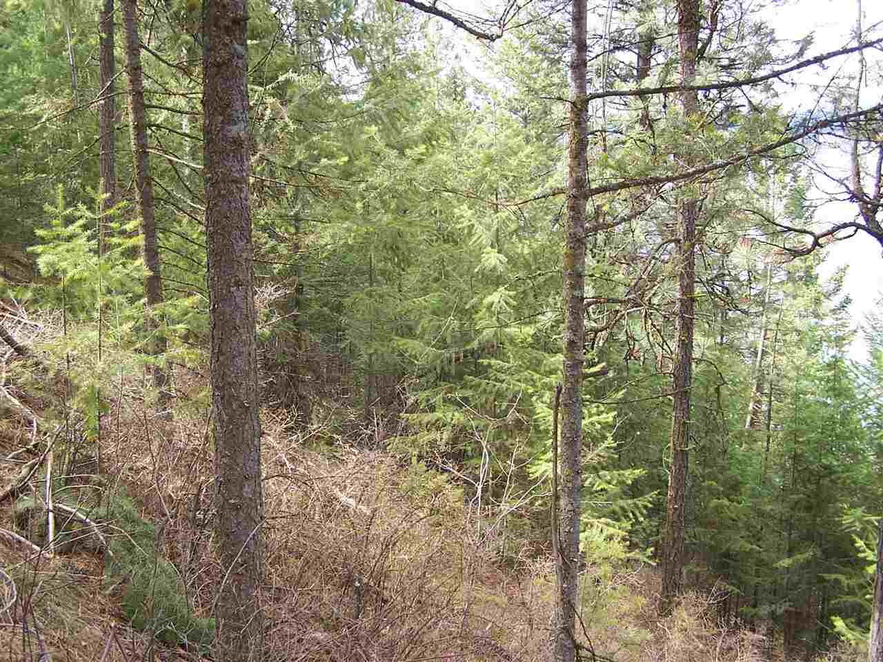 Xxx West Long Lake Road Ford, WA 99013 - Photo 8 of 14 Gallery Image 8