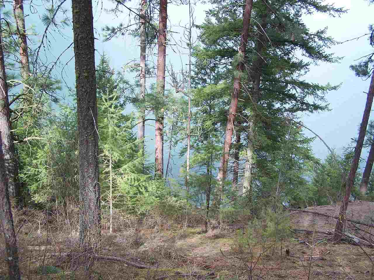 Xxx West Long Lake Road Ford, WA 99013 - Photo 10 of 14 Gallery Image 10