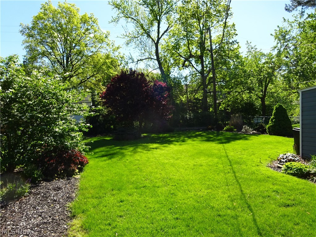 971 Roanoke Road Cleveland, OH 44121 - Photo 15 of 19 The back yard is nicely landscaped.