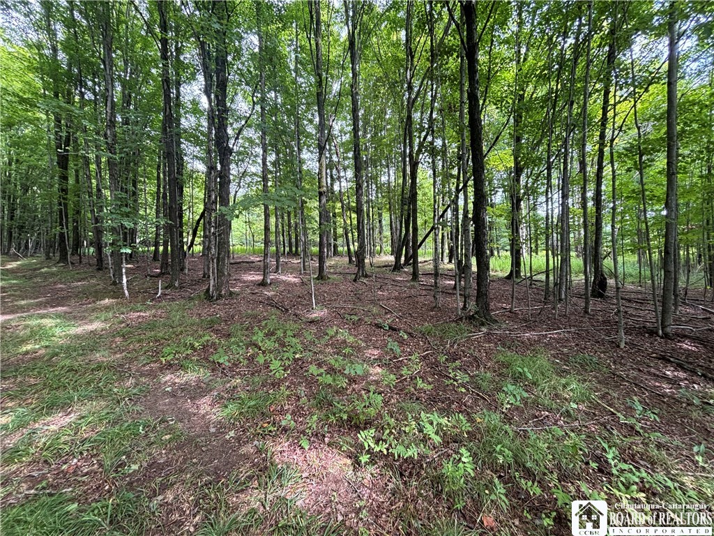 Swain Hill Road Andover, NY 14806 - Photo 20 of 44 Gallery Image 20
