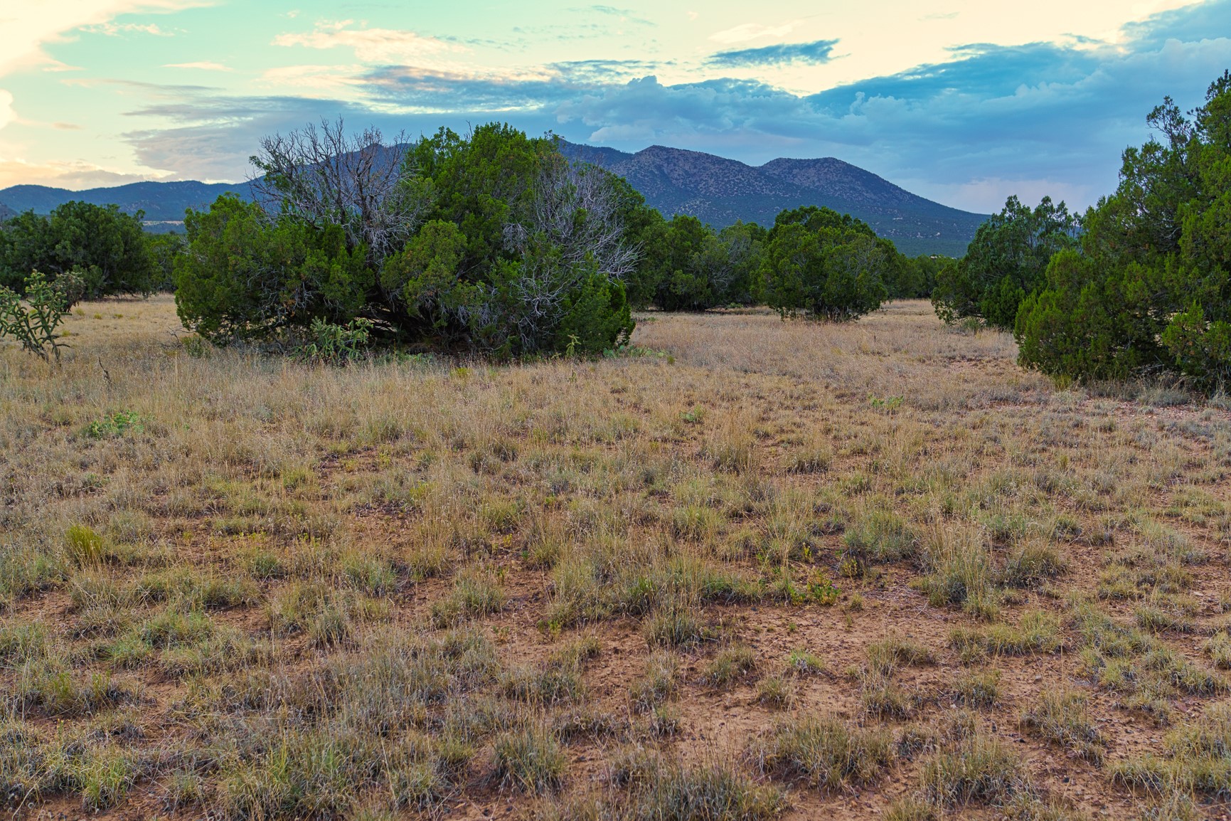 176 Wagon Trail Road Cerrillos, NM 87010 - Photo 2 of 35