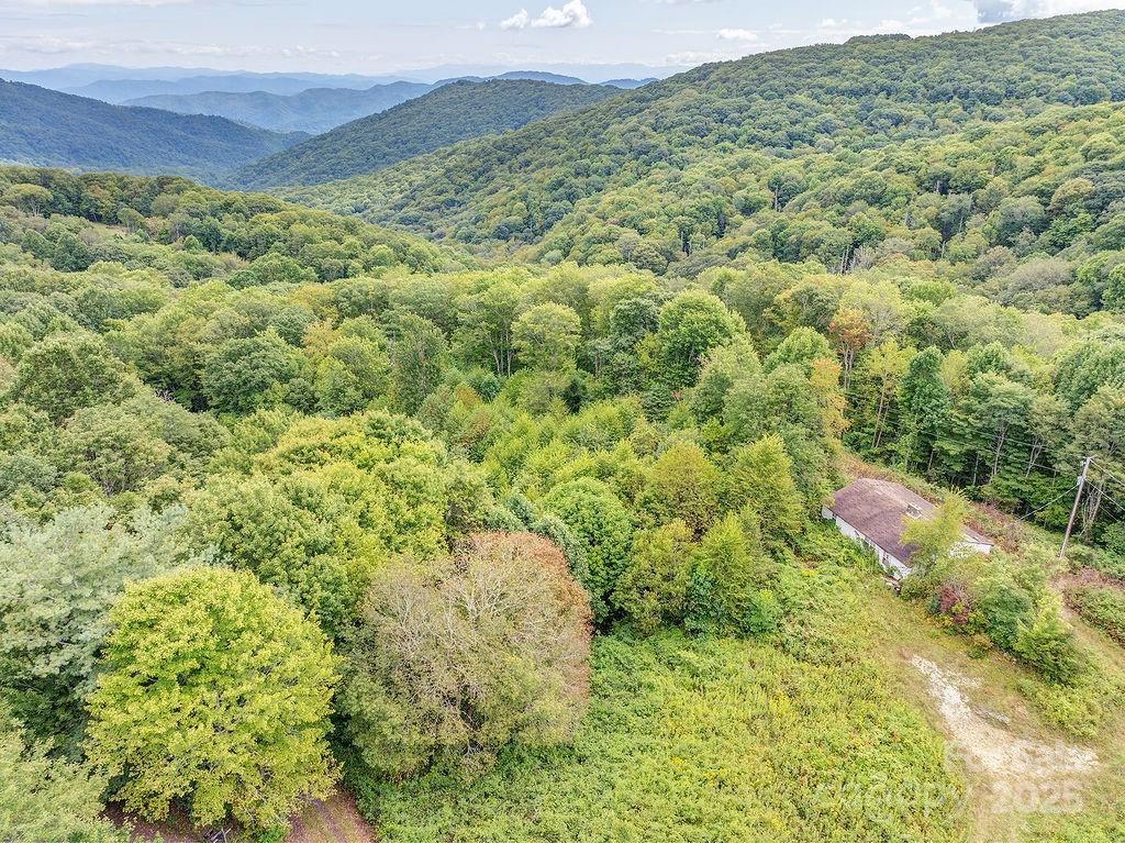 7130 Max Patch Road Hot Springs, NC 28743 - Photo 2 of 6