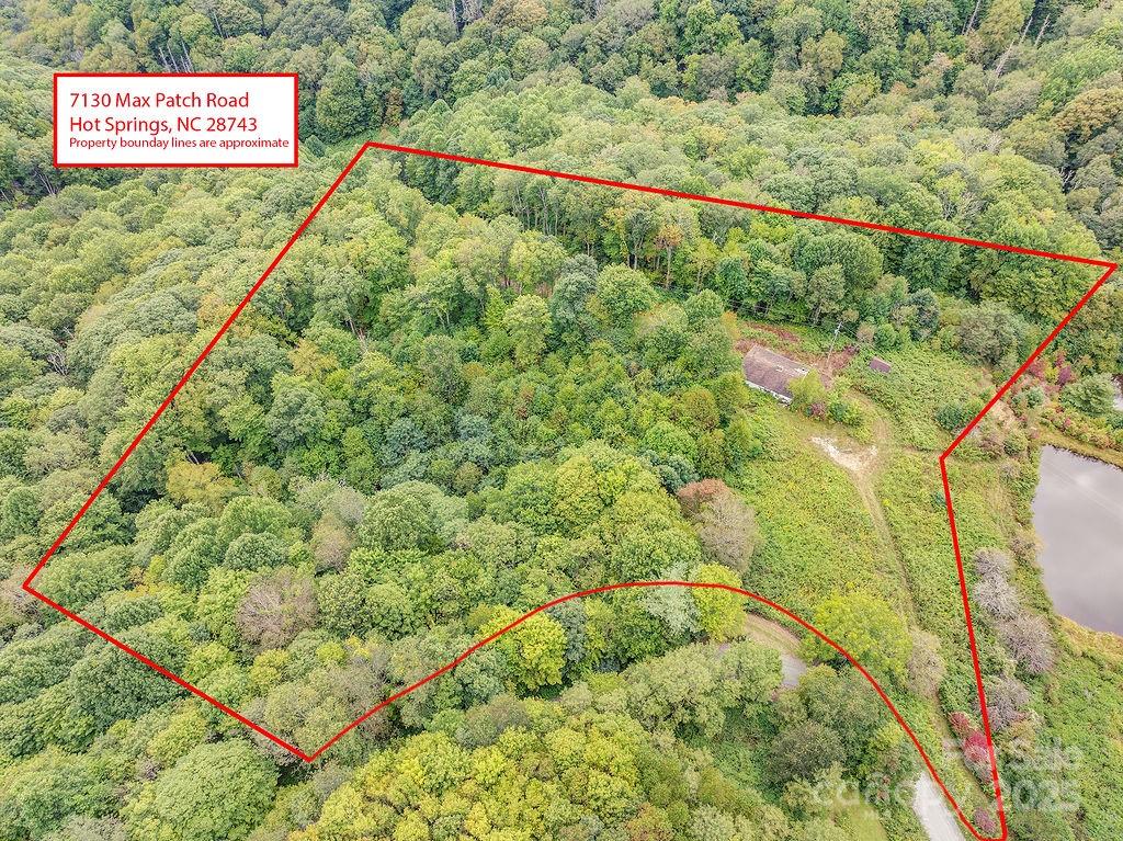 7130 Max Patch Road Hot Springs, NC 28743 - Photo 4 of 6 a view of a yard with a lush green forest