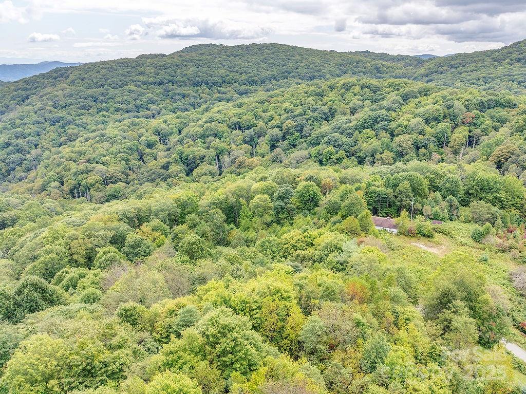 7130 Max Patch Road Hot Springs, NC 28743 - Photo 5 of 6 a view of a field with a mountain in the background