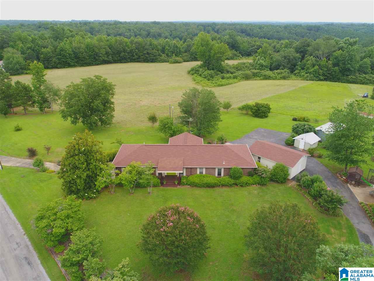 1670 Dutton Hill Road Oakman, AL 35579 - Photo 7 of 44