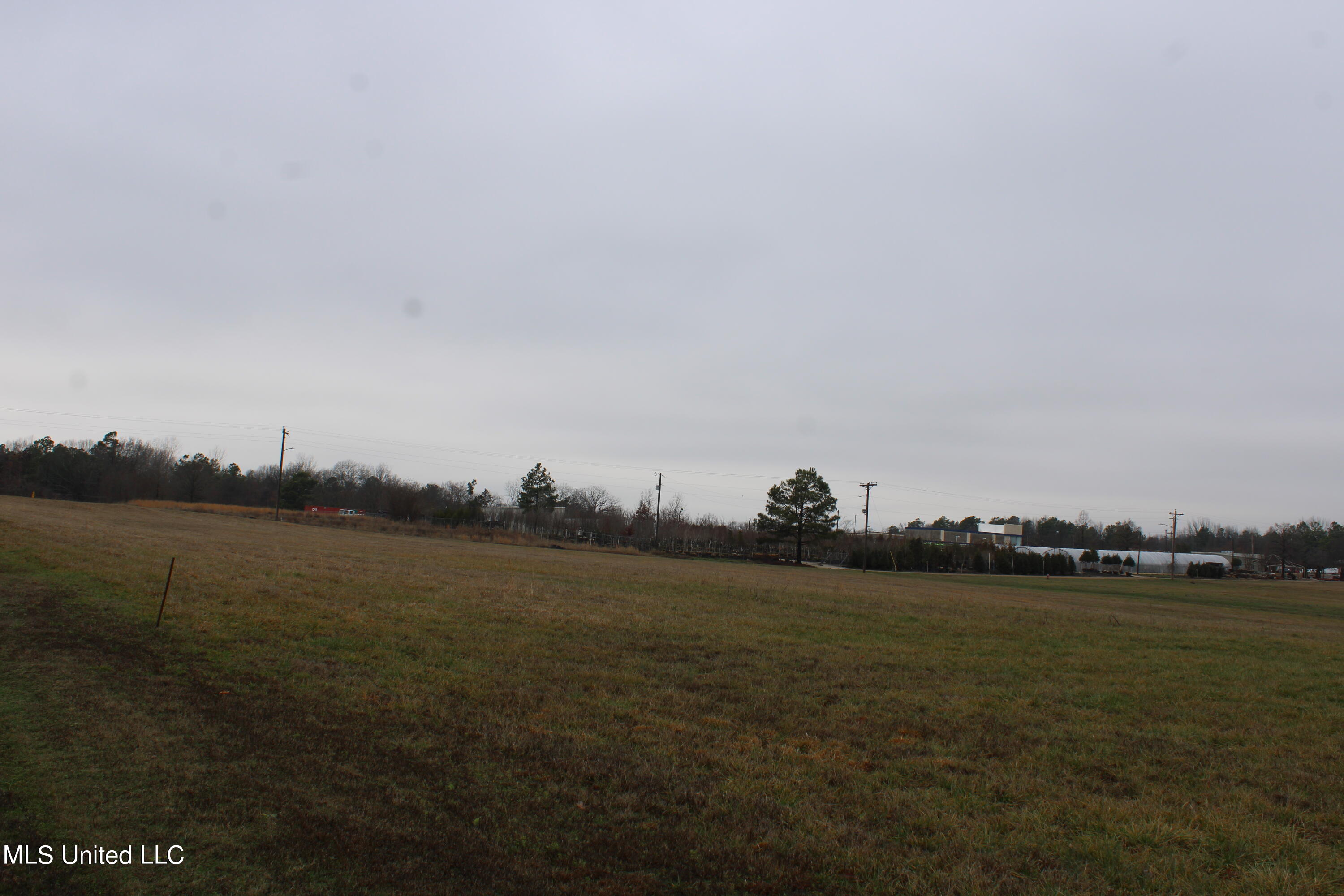 12 Hughey Road Olive Branch, MS 38654 - Photo 10 of 10 IMG_3153