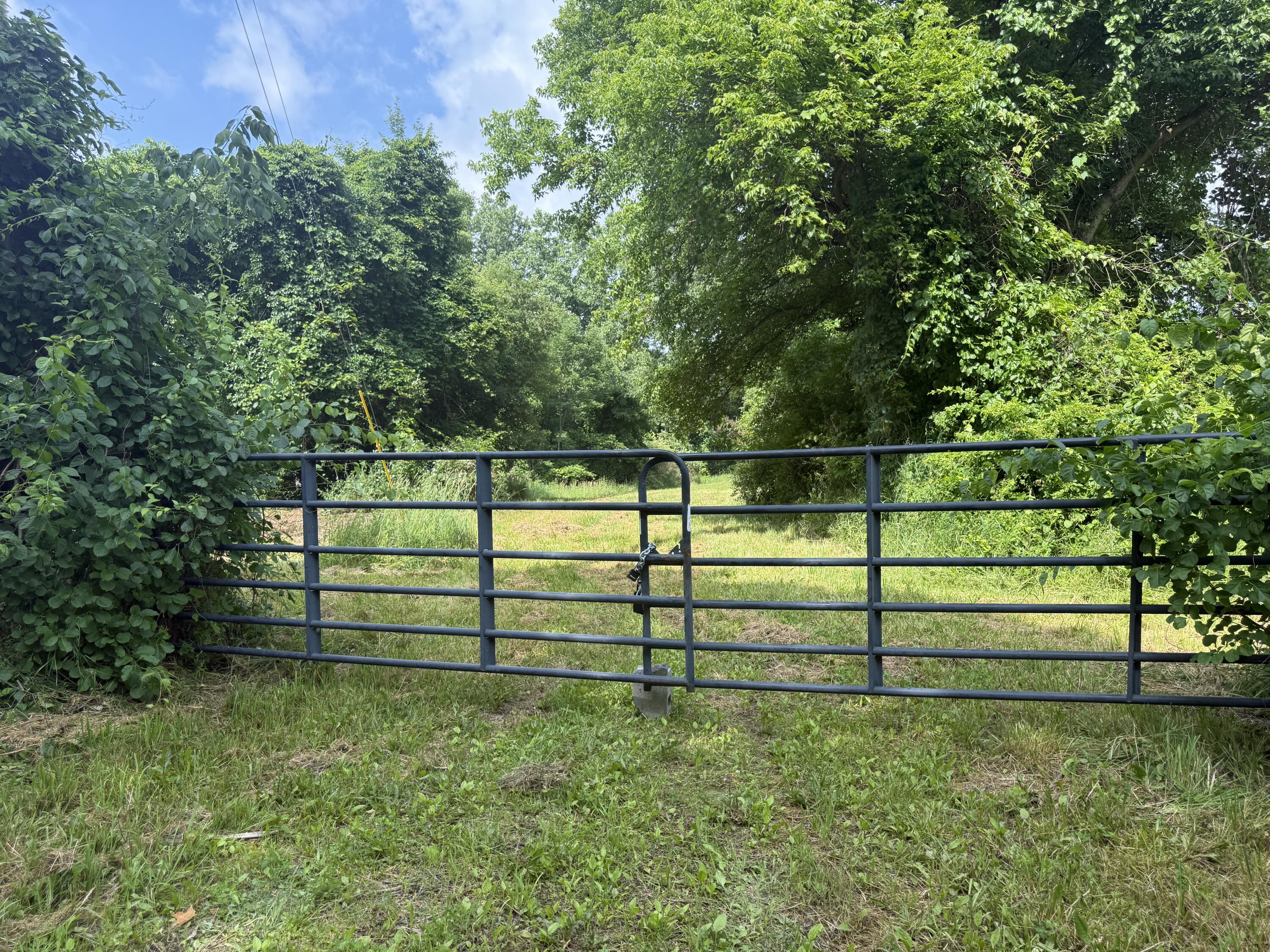 Hagerman Road Leonard, MI 48367 - Photo 3 of 51 Gate