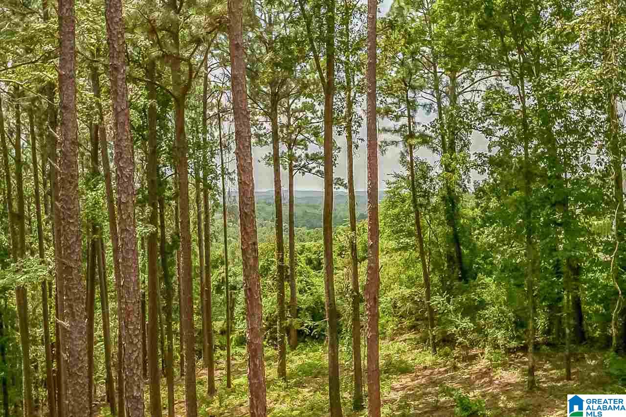 2625 Dolly Ridge Road Birmingham, AL 35243 - Photo 48 of 50 Gallery Image 48