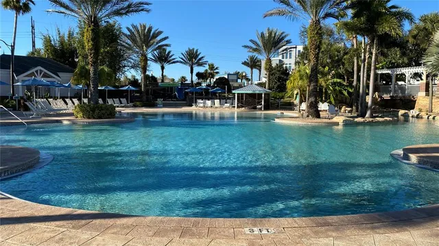 a view of a swimming pool with a garden