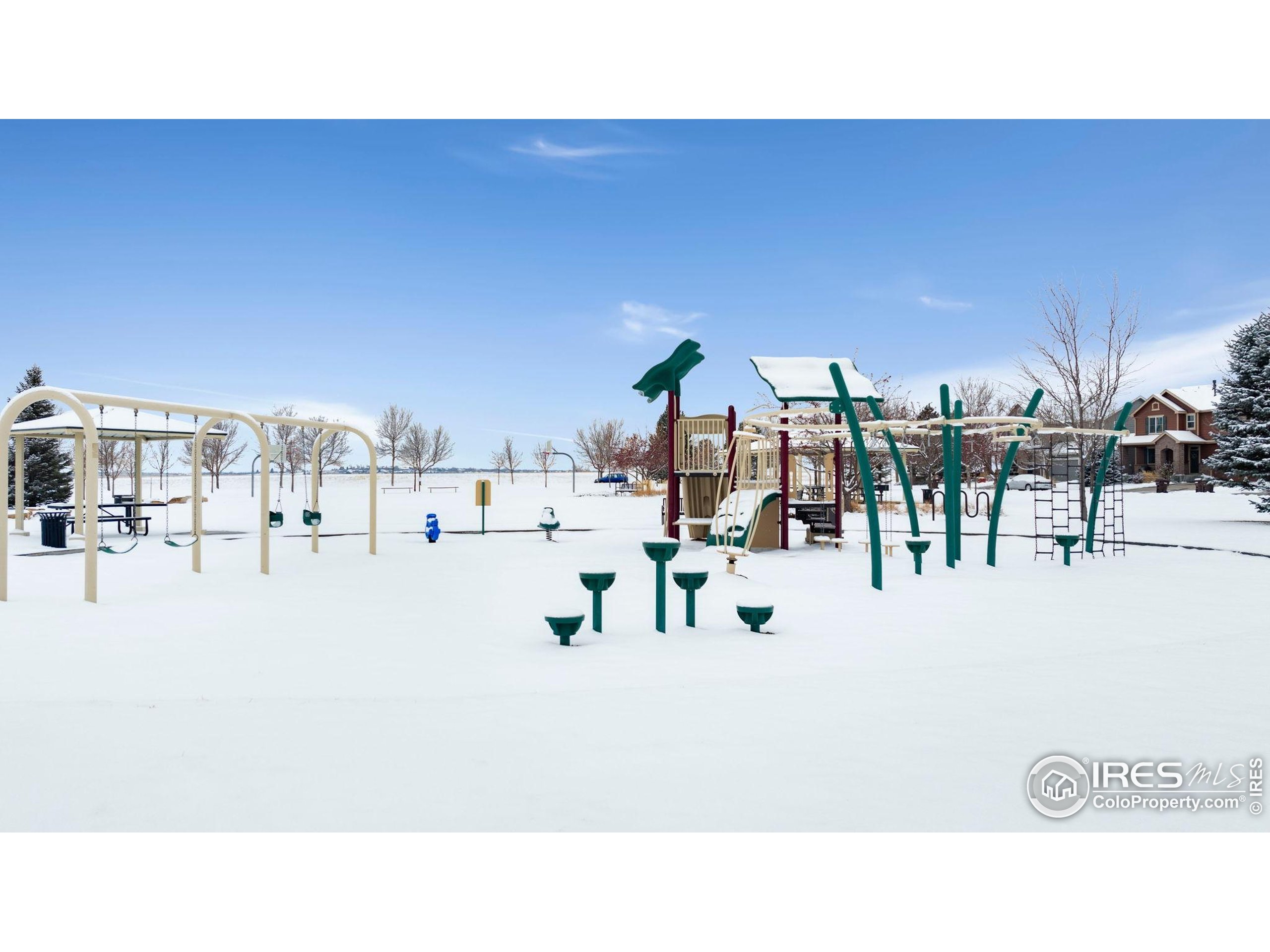 6770 Spring Rain Road Timnath, CO 80547 - Photo 30 of 30 a black and white photo of a living room