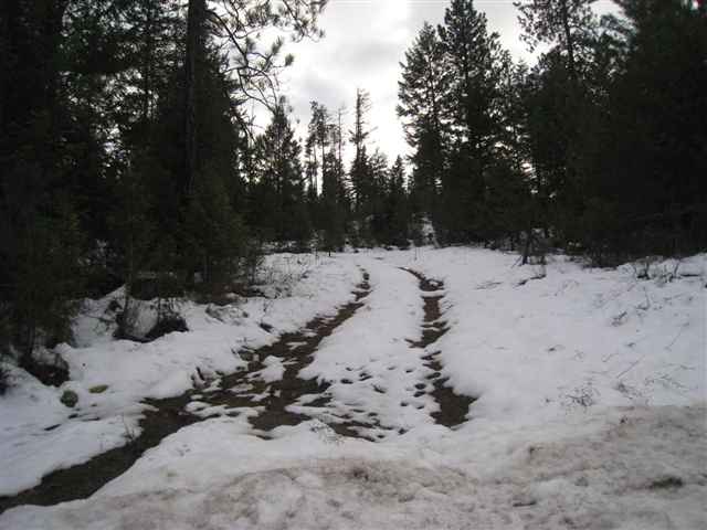 0 North Milan Elk Road Chattaroy, WA 99003 - Photo 1 of 6