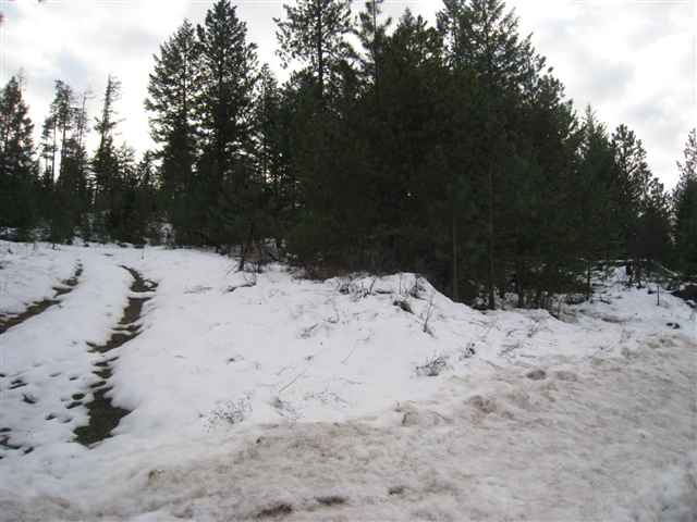 0 North Milan Elk Road Chattaroy, WA 99003 - Photo 2 of 6