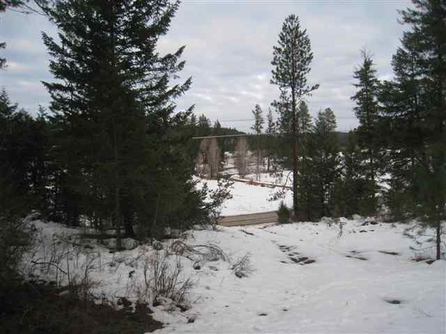 0 North Milan Elk Road Chattaroy, WA 99003 - Photo 3 of 6