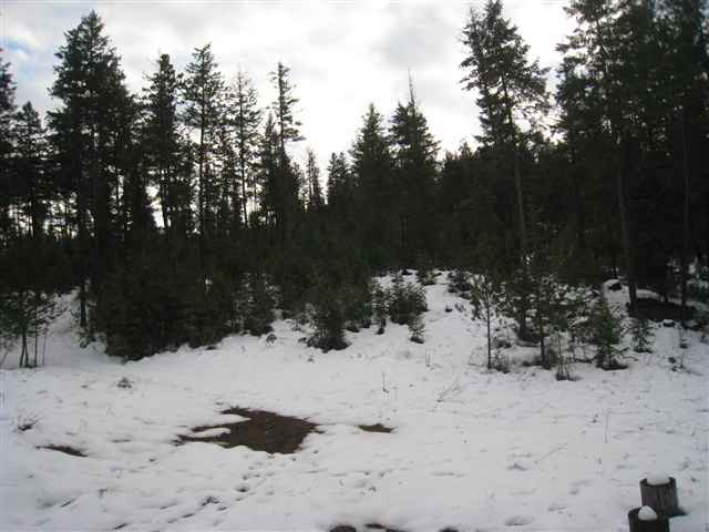 0 North Milan Elk Road Chattaroy, WA 99003 - Photo 4 of 6
