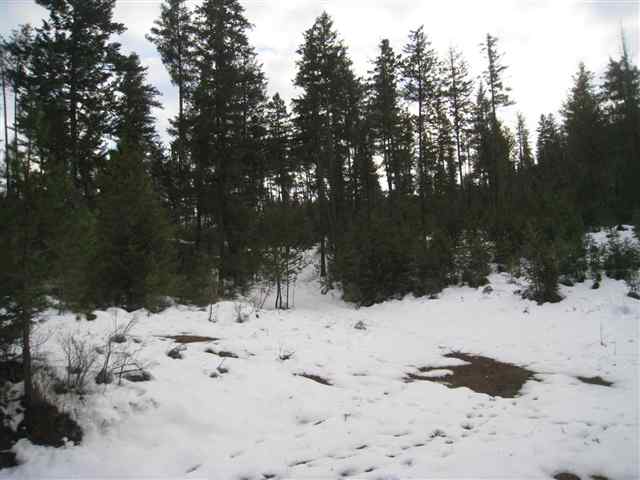 0 North Milan Elk Road Chattaroy, WA 99003 - Photo 5 of 6