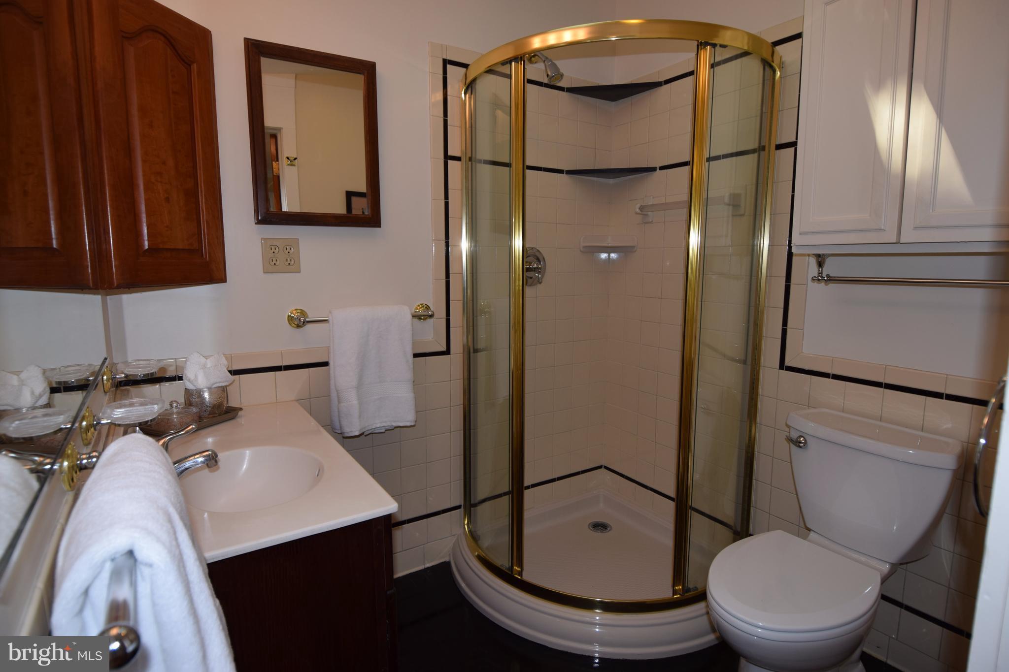 2831 Cameron Road Falls Church, VA 22042 - Photo 19 of 30 Full EnSuite Master Bath