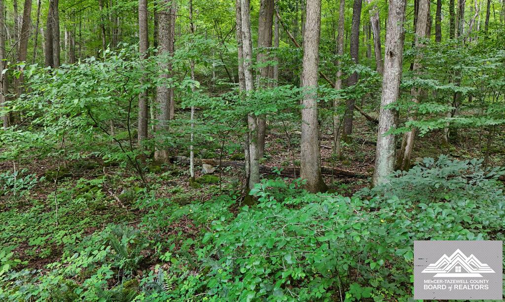 900 Hayes Valley Road Princeton, WV 24739 - Photo 36 of 36 Gallery Image 36