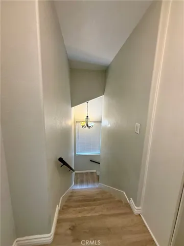 a view of a backyard with a large tree