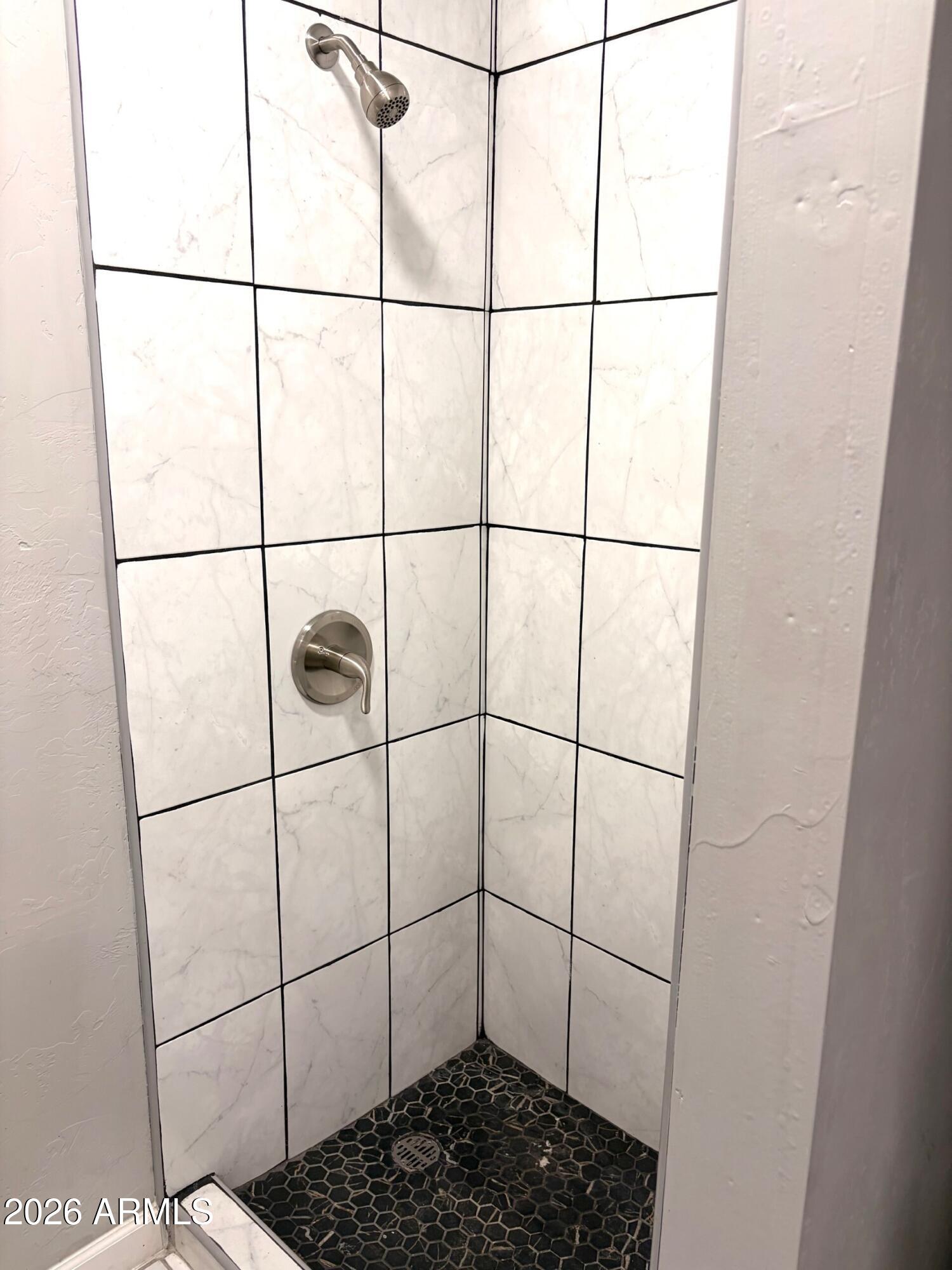 826 1st Street Douglas, AZ 85607 - Photo 23 of 35 a bathroom with a shower