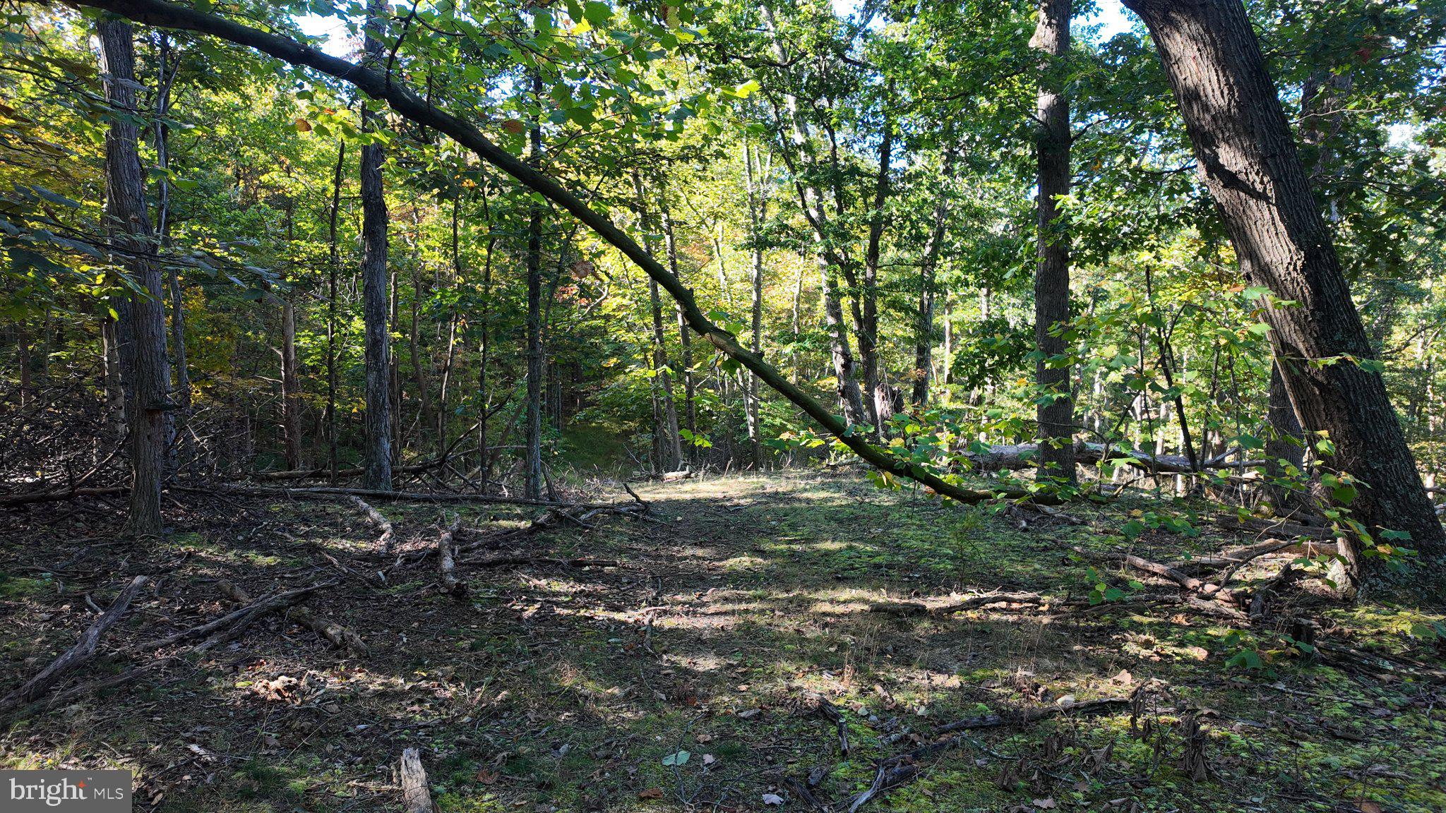 Cold Run Valley Road Berkeley Springs, WV 25411 - Photo 50 of 83 Gallery Image 50