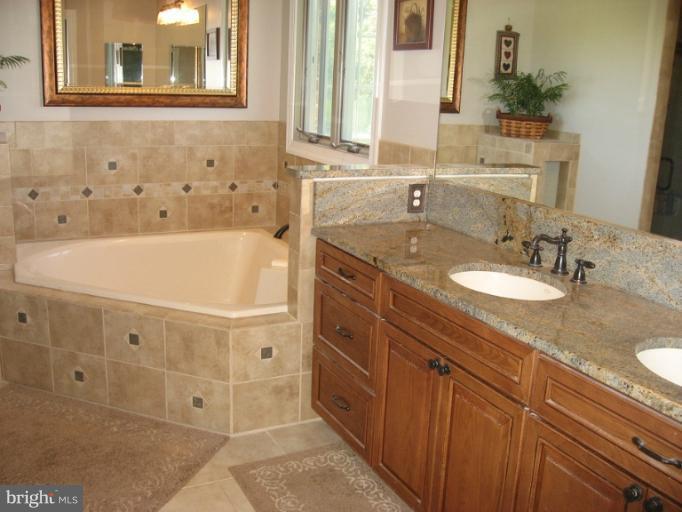 8622 Chestnut Grove Road Frederick, MD 21701 - Photo 20 of 22 Bath (Master)