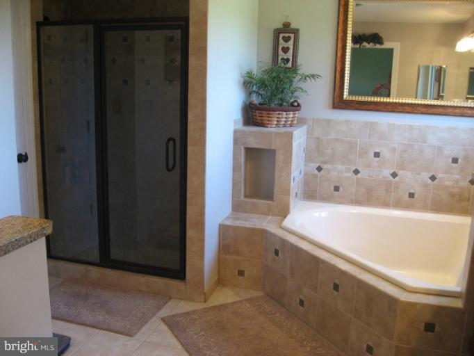 8622 Chestnut Grove Road Frederick, MD 21701 - Photo 10 of 22 Bath (Master)
