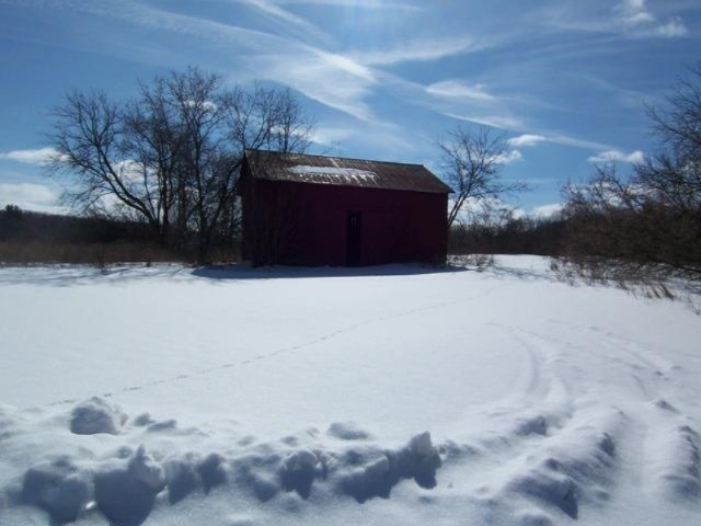 18205 Bailey Road Bailey, MI 49303 - Photo 5 of 16 Additional Photo