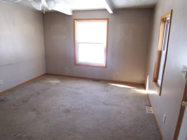 18205 Bailey Road Bailey, MI 49303 - Photo 6 of 16 Additional Photo