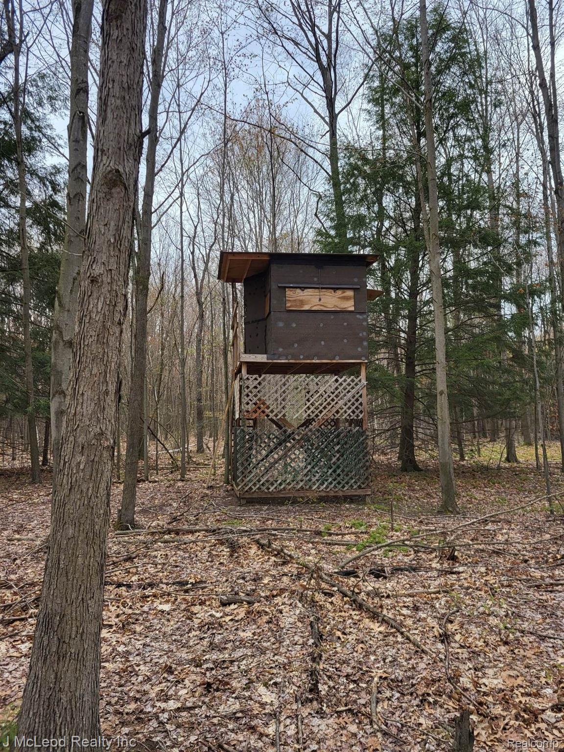6345 Caine Road Vassar, MI 48768 - Photo 82 of 82 Gallery Image 82