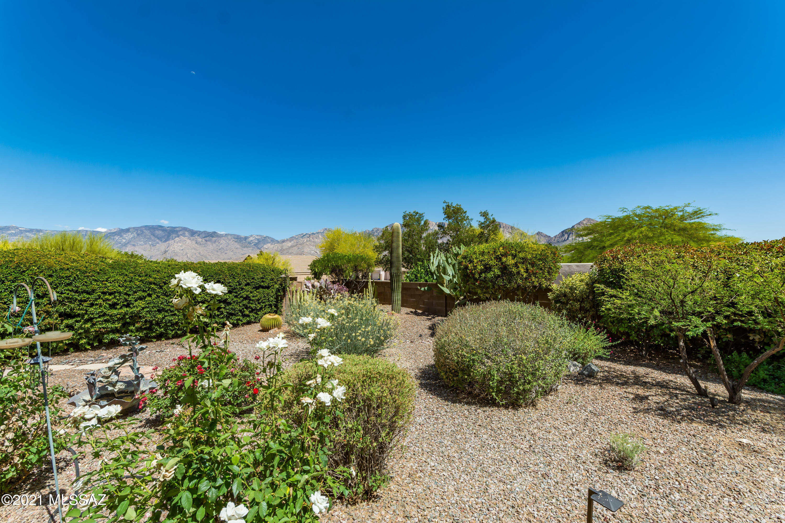 385 West Ridge Peak Road Oro Valley, AZ 85737 - Photo 2 of 26 Gallery Image 2