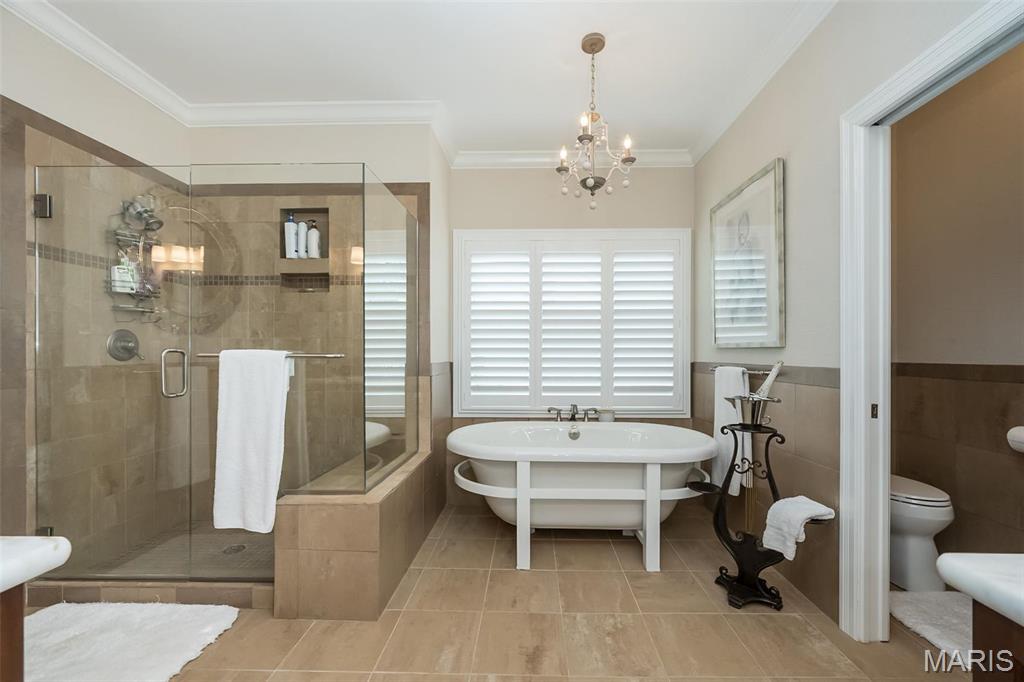 1519 Mallard Landing Court Chesterfield, MO 63017 - Photo 34 of 78