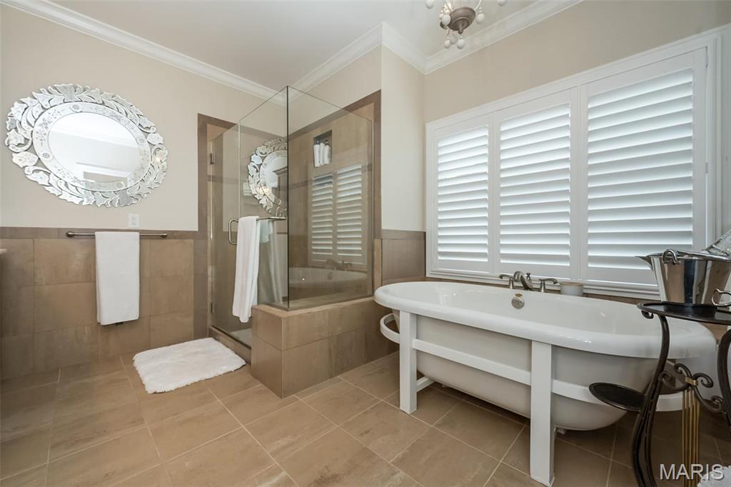 1519 Mallard Landing Court Chesterfield, MO 63017 - Photo 36 of 78