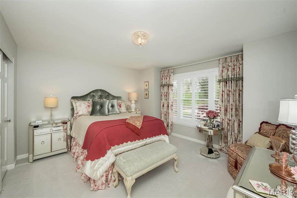 1519 Mallard Landing Court Chesterfield, MO 63017 - Photo 43 of 78