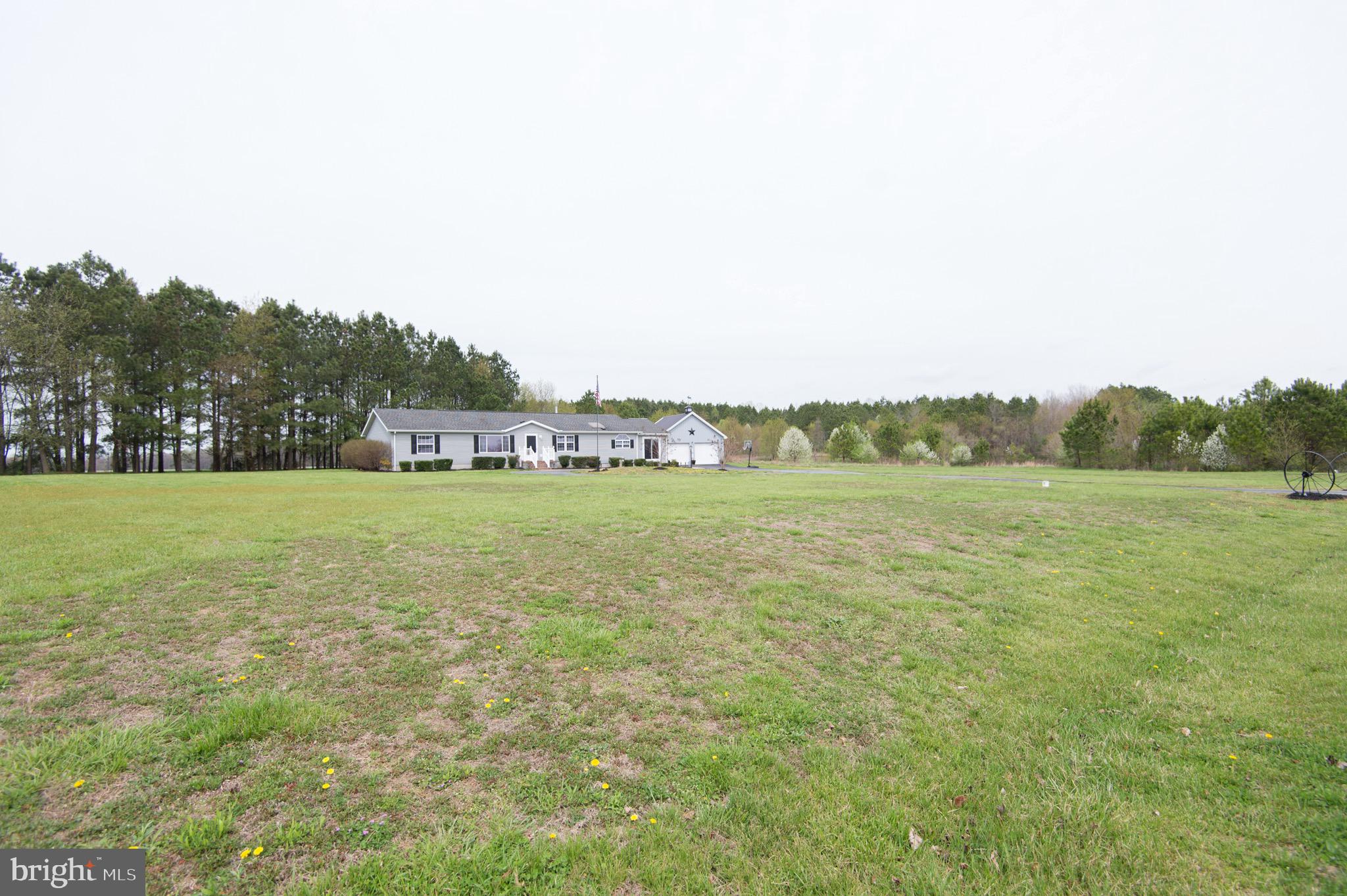 6560 Cabin Ridge Road Hurlock, MD 21643 - Photo 6 of 50 Gallery Image 6