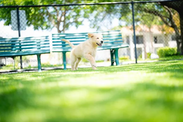 $2,383 | 6503 North Military Trail, Unit CASTILLE, Boca Raton, FL 33496