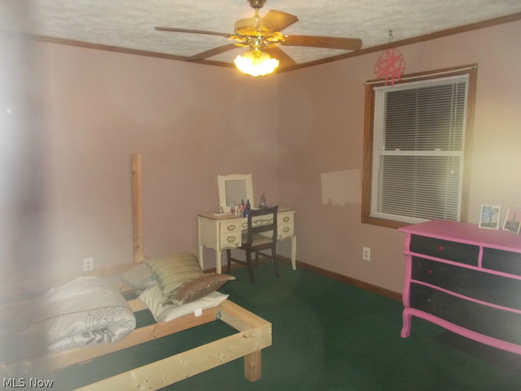 16175 Madison Road Middlefield, OH 44062 - Photo 4 of 8