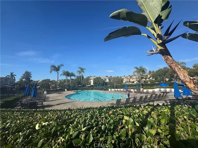 a view of a park with large trees