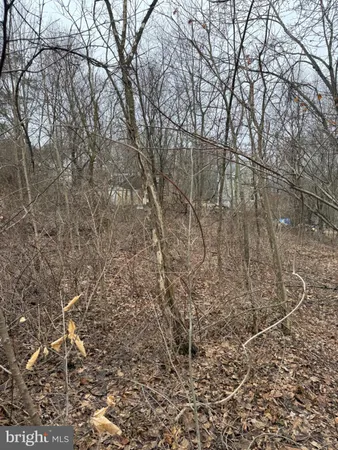 a backyard of a building