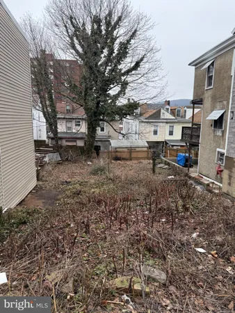 a view of a yard with large trees