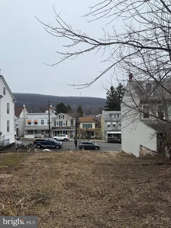 a view of yard with trees