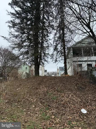 a view of a backyard with large trees