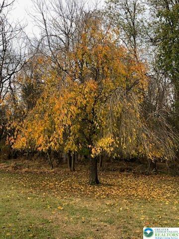 4905 Cedar Grove Road Bangor, PA 18013 - Photo 49 of 50