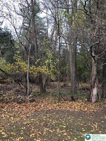4905 Cedar Grove Road Bangor, PA 18013 - Photo 50 of 50 a view of a forest filled with trees